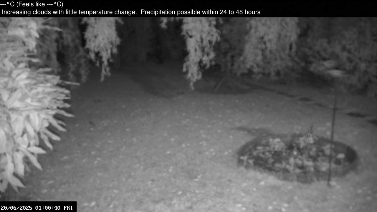 time-lapse frame, Wembury, Devon. Garden Zoom Cam webcam