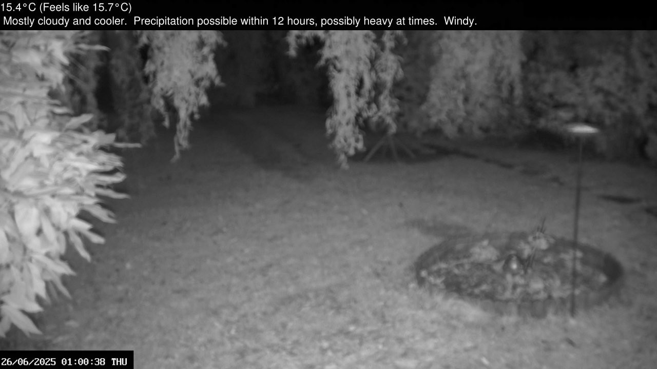 time-lapse frame, Wembury, Devon. Garden Zoom Cam webcam