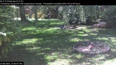 view from Wembury, Devon. Garden Zoom Cam on 2025-06-27