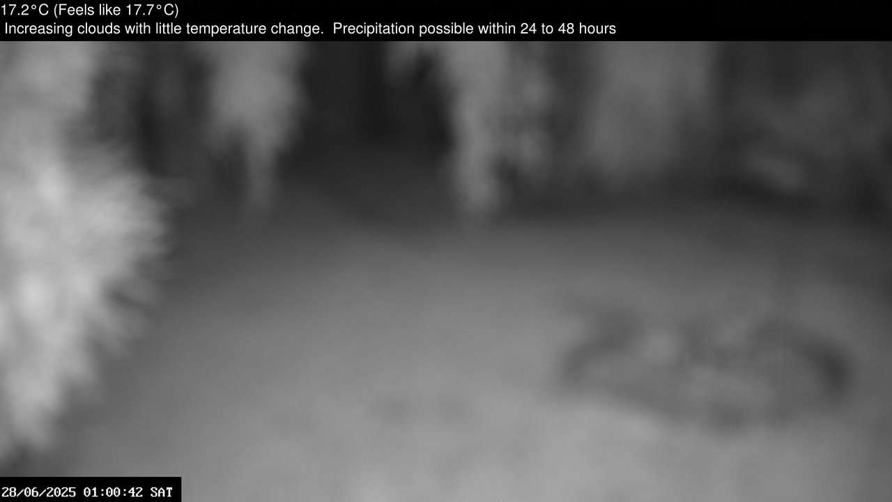 time-lapse frame, Wembury, Devon. Garden Zoom Cam webcam