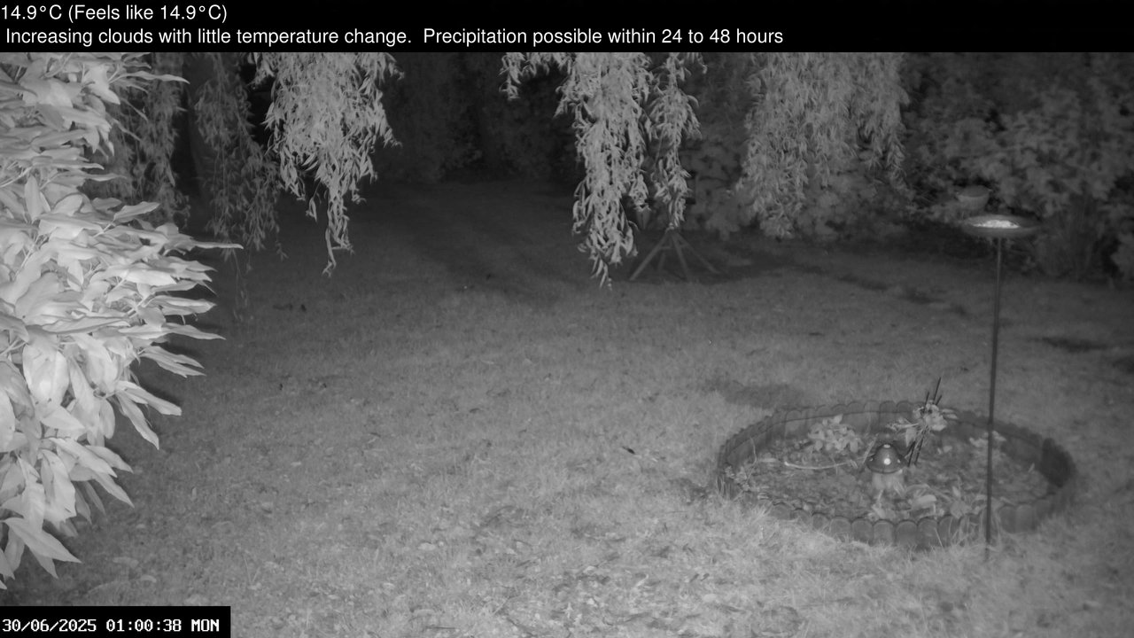 time-lapse frame, Wembury, Devon. Garden Zoom Cam webcam