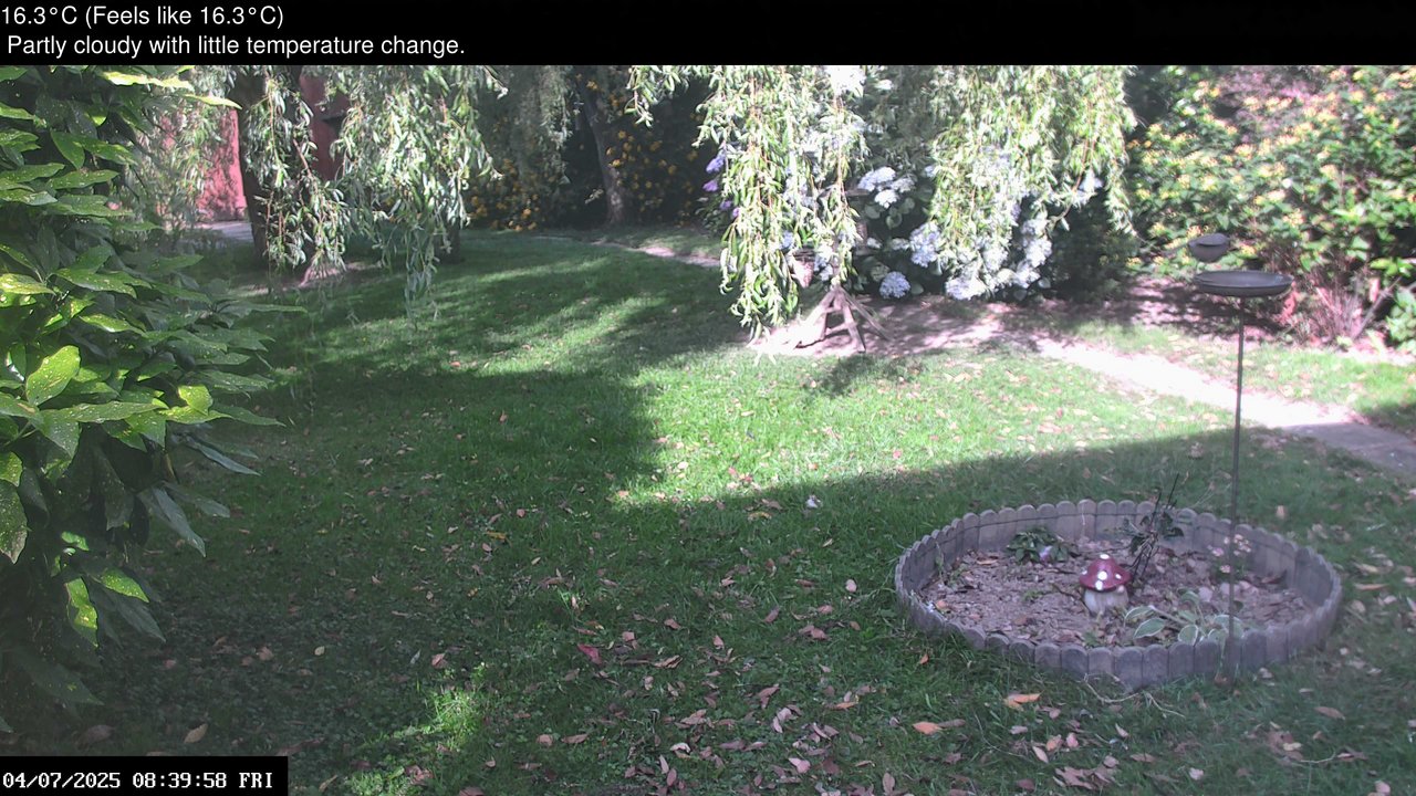 time-lapse frame, Wembury, Devon. Garden Zoom Cam webcam