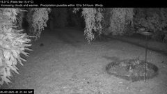 view from Wembury, Devon. Garden Zoom Cam on 2025-07-05