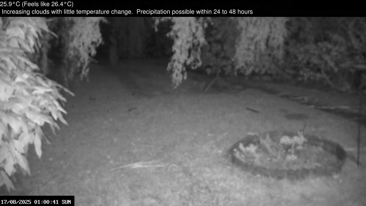 time-lapse frame, Wembury, Devon. Garden Zoom Cam webcam