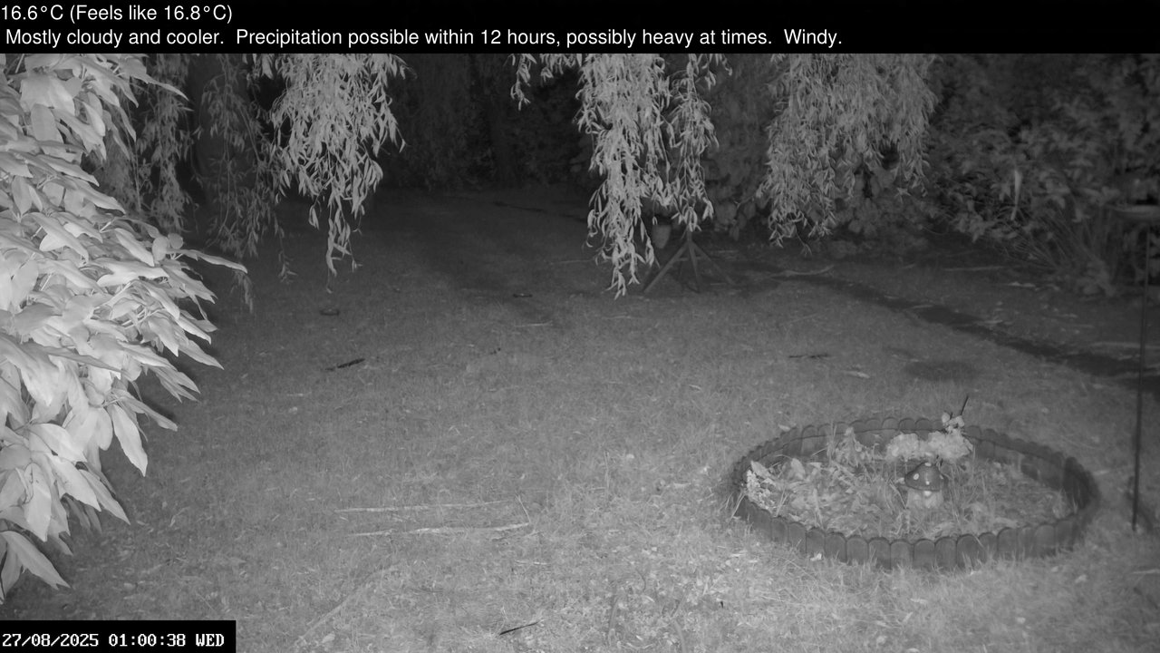 time-lapse frame, Wembury, Devon. Garden Zoom Cam webcam