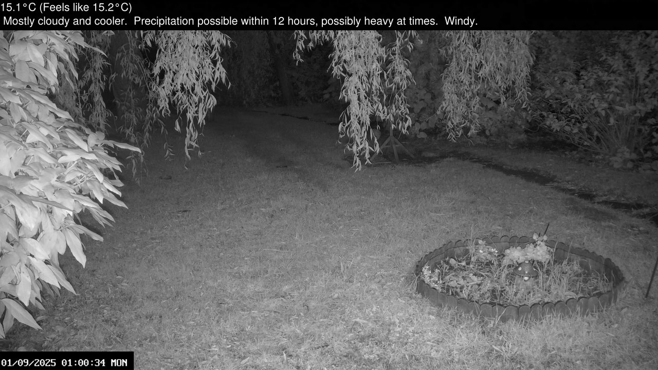 time-lapse frame, Wembury, Devon. Garden Zoom Cam webcam