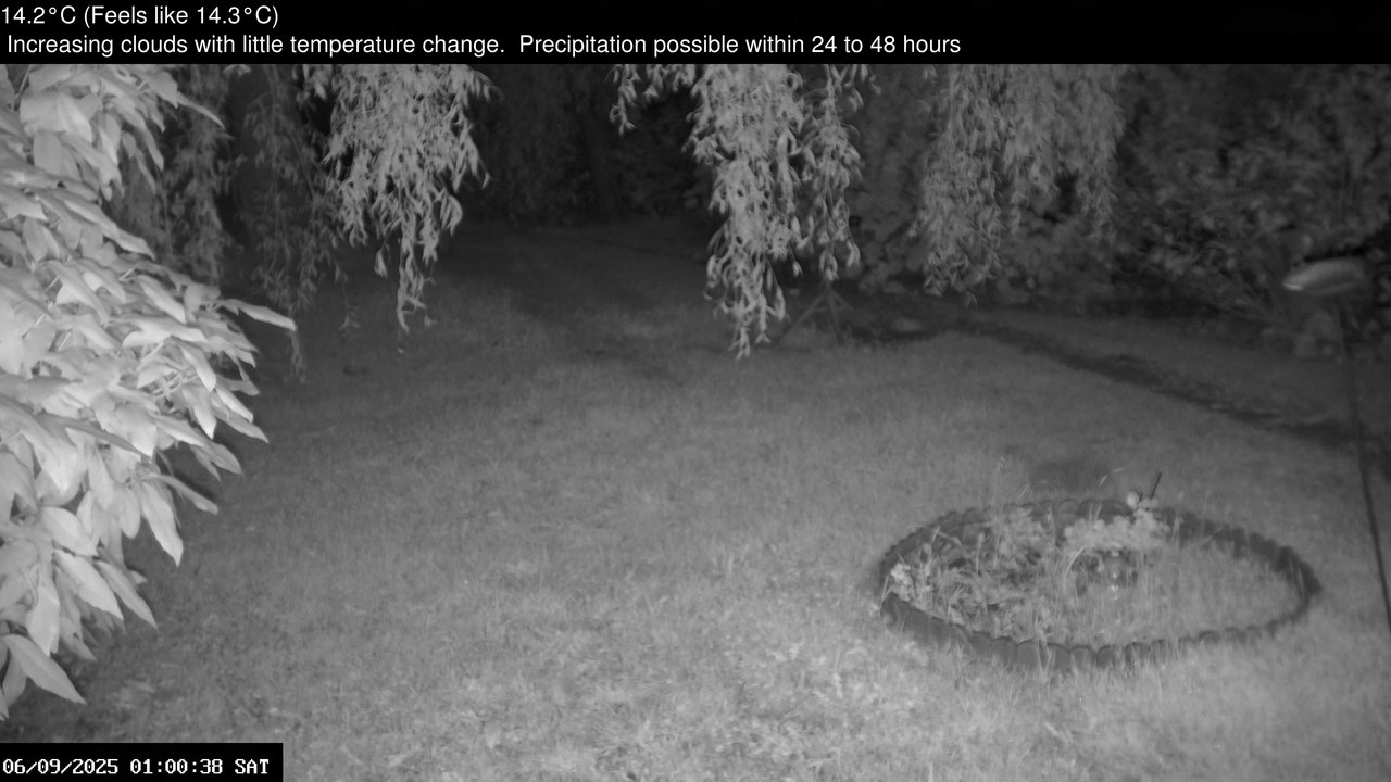 time-lapse frame, Wembury, Devon. Garden Zoom Cam webcam
