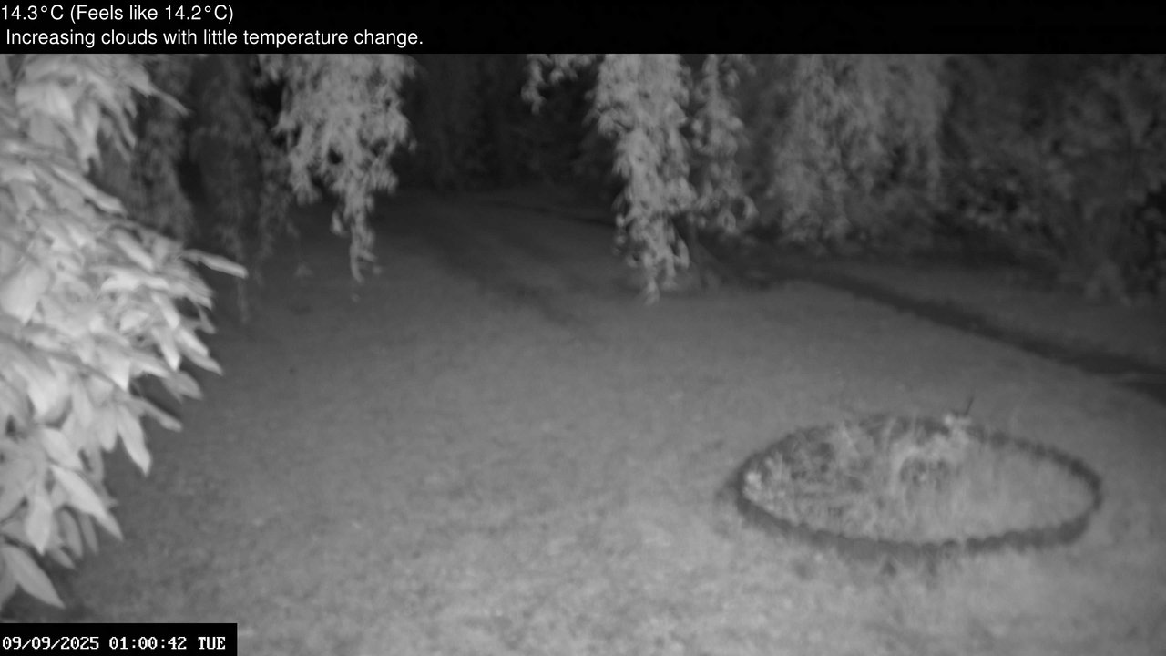 time-lapse frame, Wembury, Devon. Garden Zoom Cam webcam