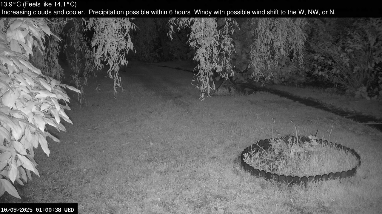 time-lapse frame, Wembury, Devon. Garden Zoom Cam webcam