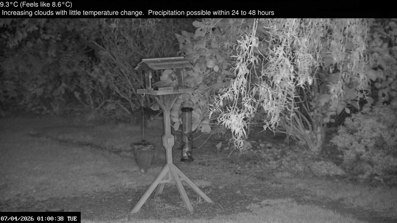 time-lapse frame, Wembury, Devon. Garden Zoom Cam webcam
