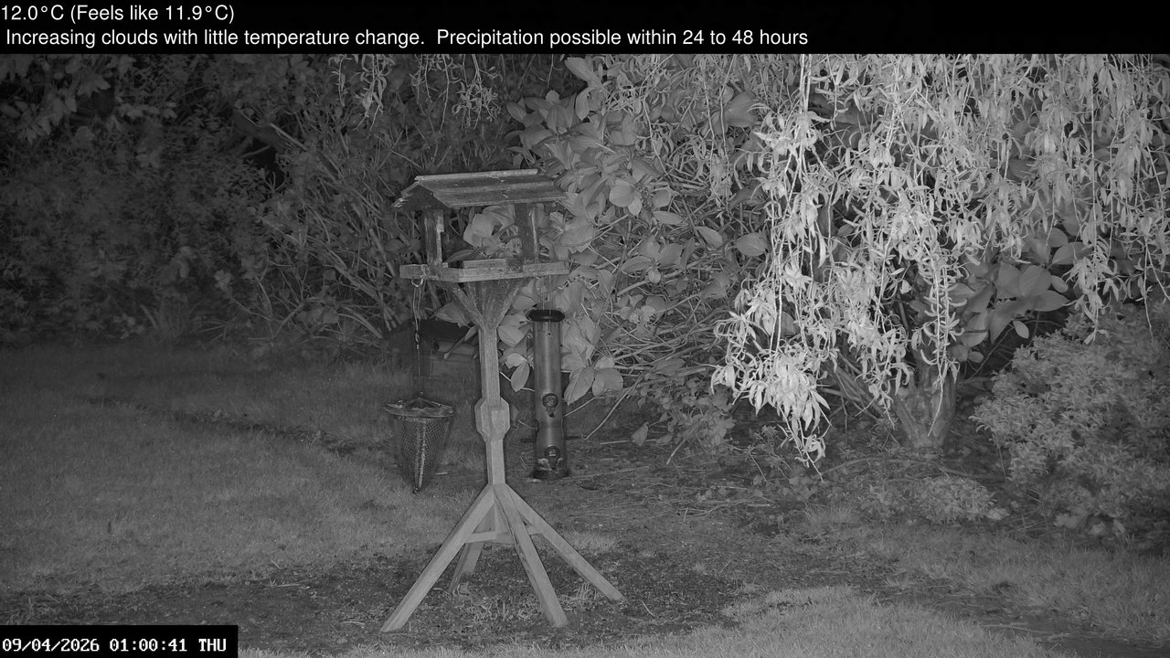 time-lapse frame, Wembury, Devon. Garden Zoom Cam webcam