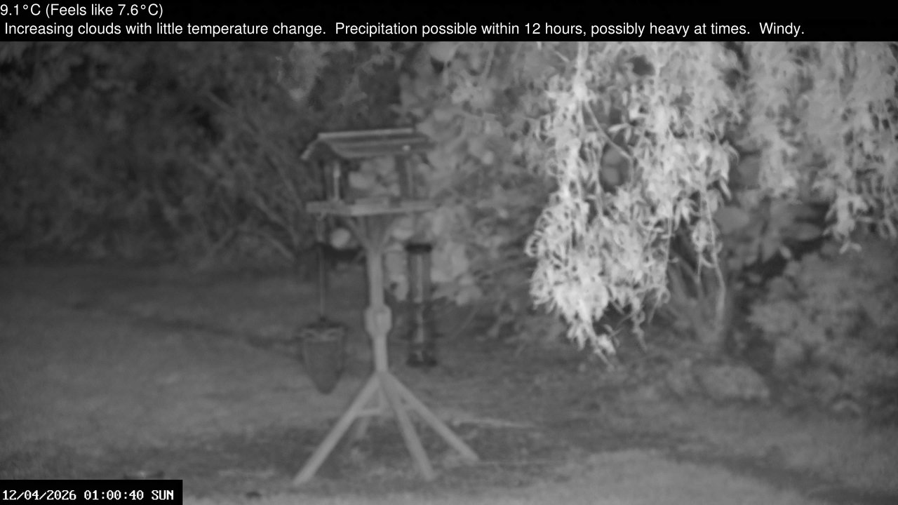 time-lapse frame, Wembury, Devon. Garden Zoom Cam webcam