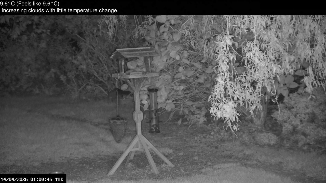 time-lapse frame, Wembury, Devon. Garden Zoom Cam webcam