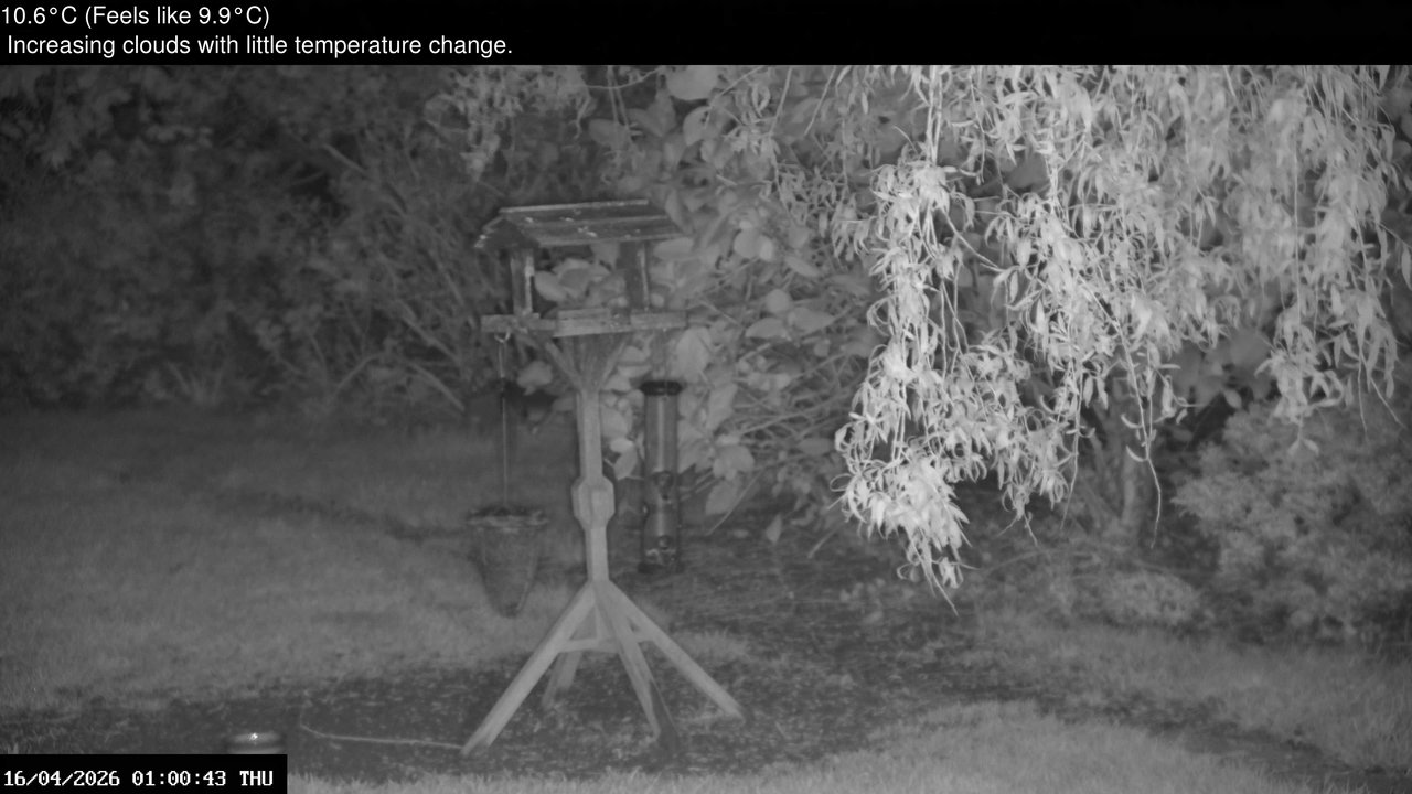 time-lapse frame, Wembury, Devon. Garden Zoom Cam webcam