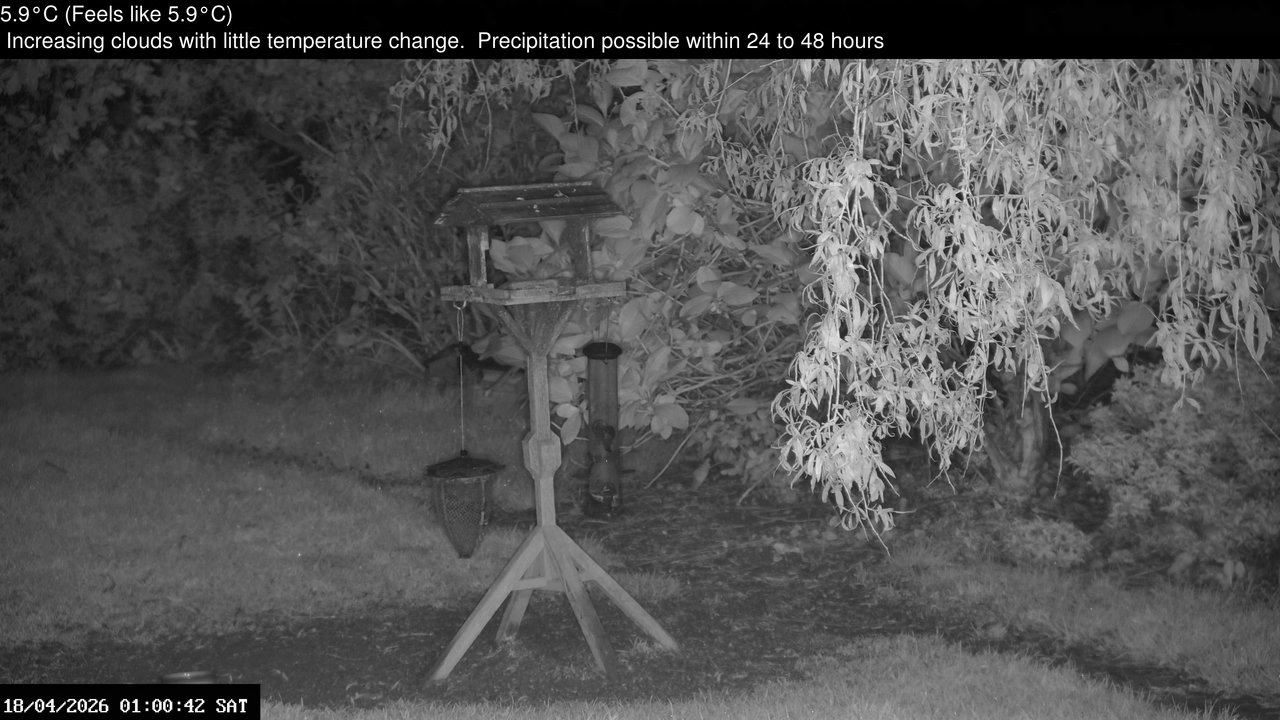 time-lapse frame, Wembury, Devon. Garden Zoom Cam webcam