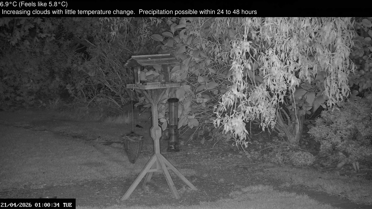 time-lapse frame, Wembury, Devon. Garden Zoom Cam webcam