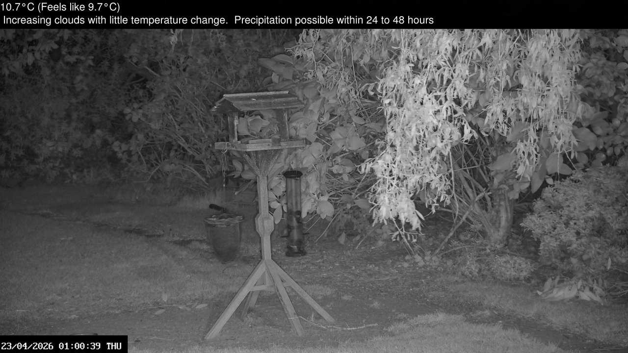 time-lapse frame, Wembury, Devon. Garden Zoom Cam webcam