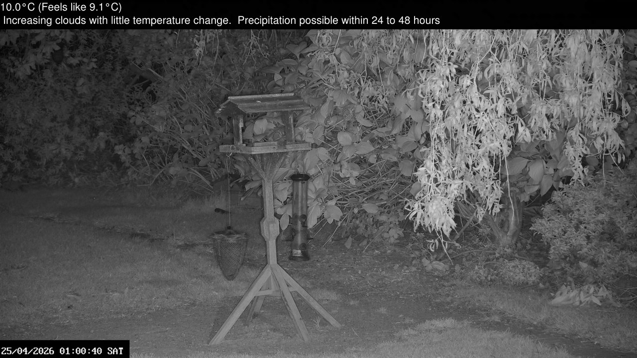time-lapse frame, Wembury, Devon. Garden Zoom Cam webcam