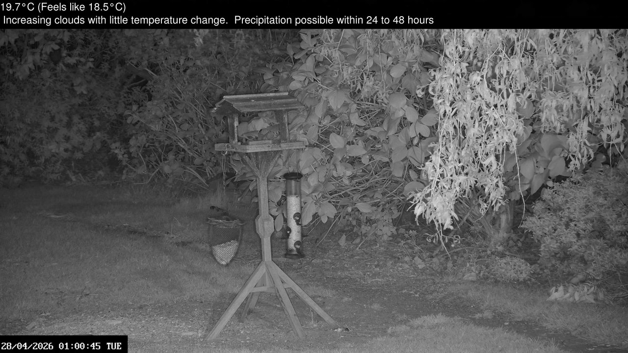 time-lapse frame, Wembury, Devon. Garden Zoom Cam webcam