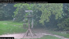view from Wembury, Devon. Garden Zoom Cam on 2026-04-28