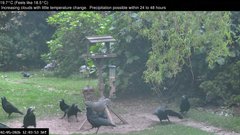view from Wembury, Devon. Garden Zoom Cam on 2026-05-02