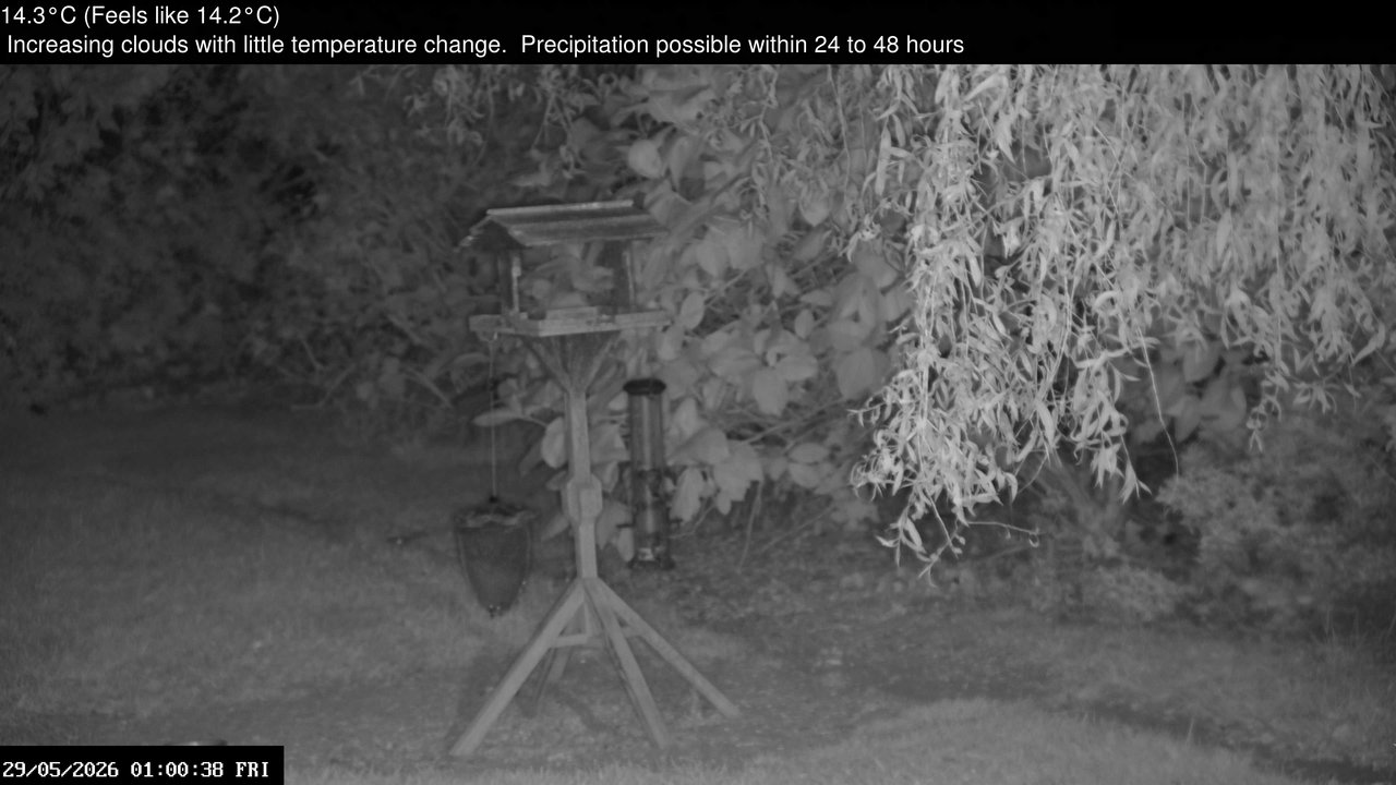 time-lapse frame, Wembury, Devon. Garden Zoom Cam webcam