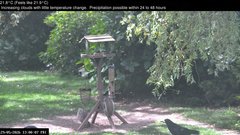 view from Wembury, Devon. Garden Zoom Cam on 2026-05-29