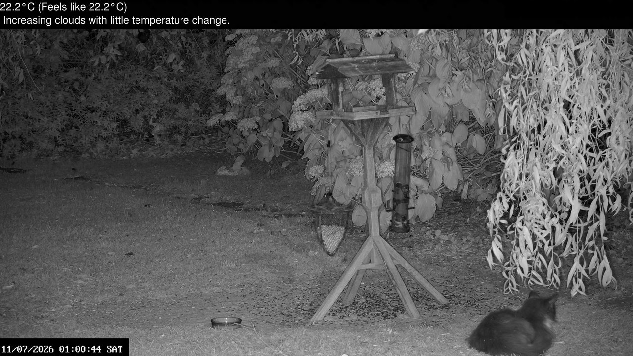 time-lapse frame, Wembury, Devon. Garden Zoom Cam webcam