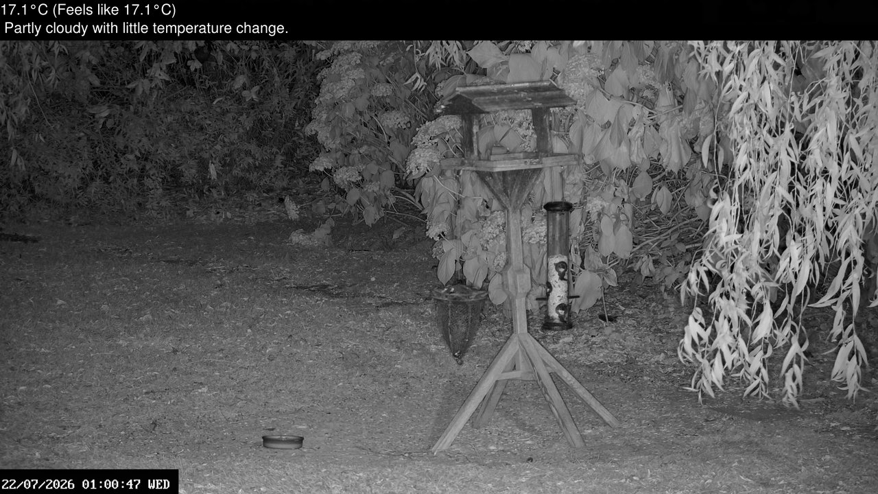 time-lapse frame, Wembury, Devon. Garden Zoom Cam webcam