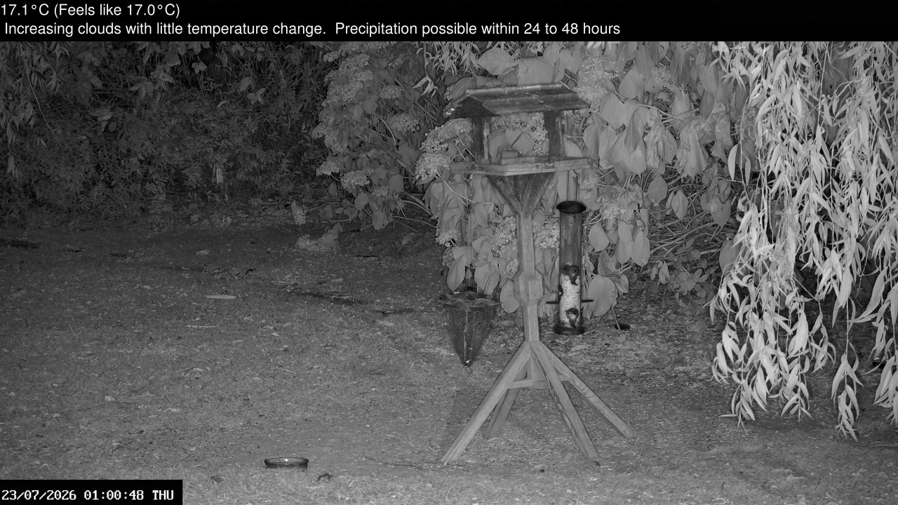 time-lapse frame, Wembury, Devon. Garden Zoom Cam webcam