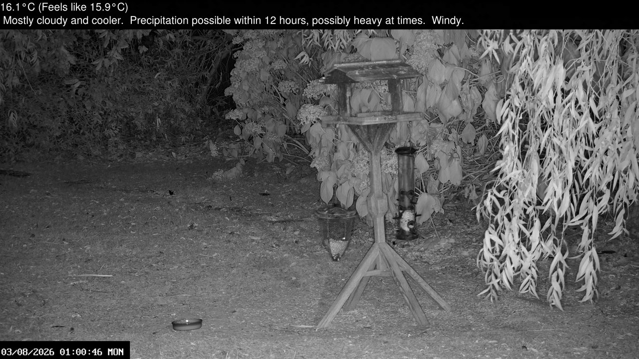 time-lapse frame, Wembury, Devon. Garden Zoom Cam webcam