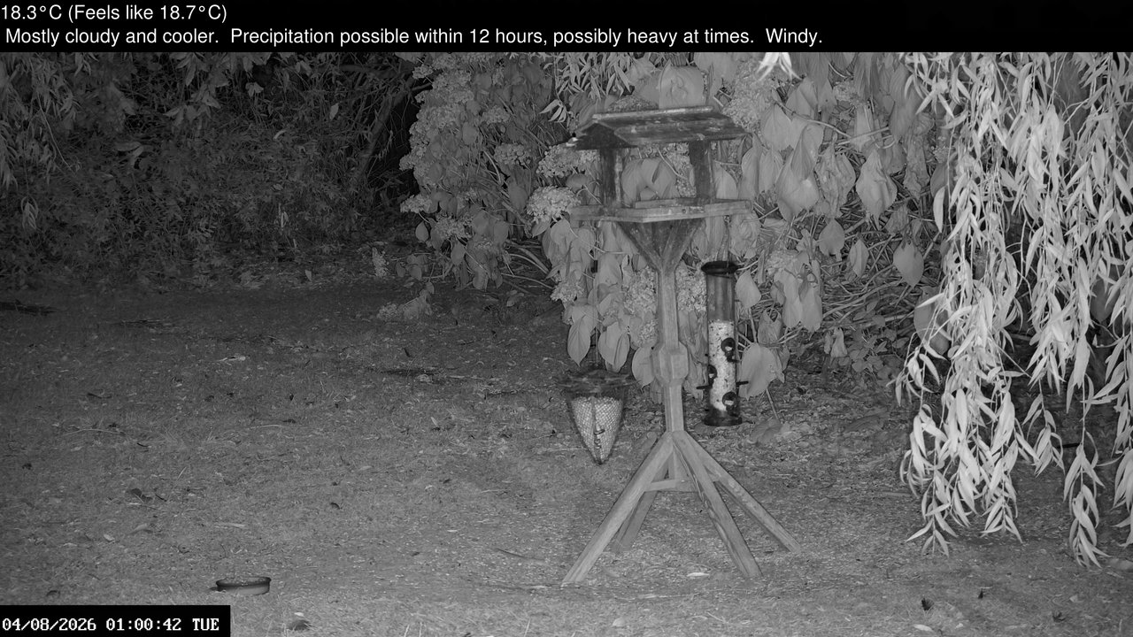 time-lapse frame, Wembury, Devon. Garden Zoom Cam webcam