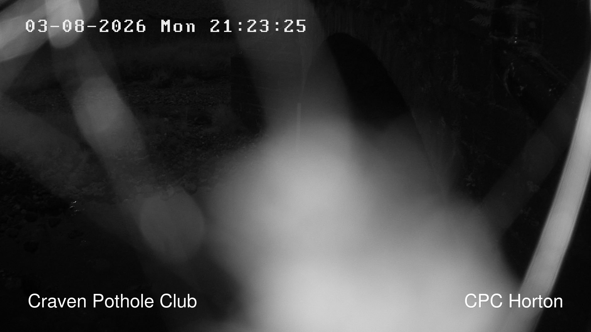 HortonRibbleCam animated GIF