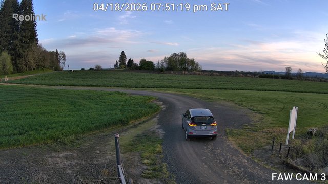 FAW CAM 3 animated GIF