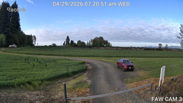 time-lapse frame, FAW CAM 3 webcam