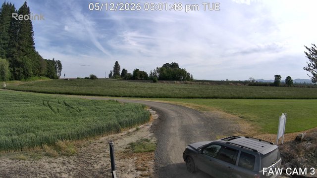 time-lapse frame, FAW CAM 3 webcam