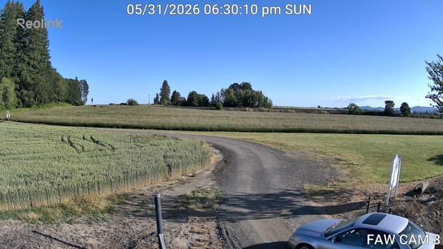 time-lapse frame, FAW CAM 3 webcam