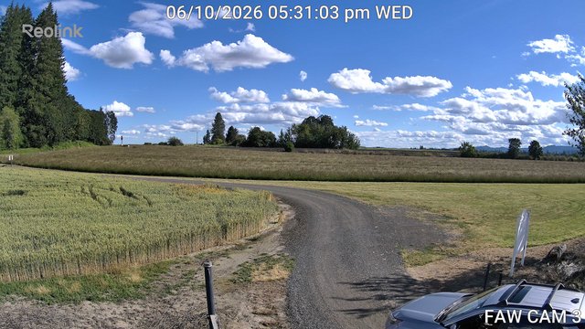 time-lapse frame, FAW CAM 3 webcam