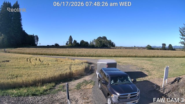 time-lapse frame, FAW CAM 3 webcam