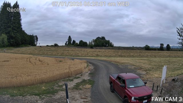 time-lapse frame, FAW CAM 3 webcam