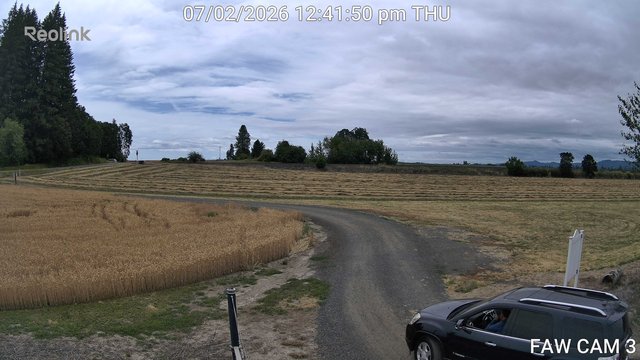 time-lapse frame, FAW CAM 3 webcam