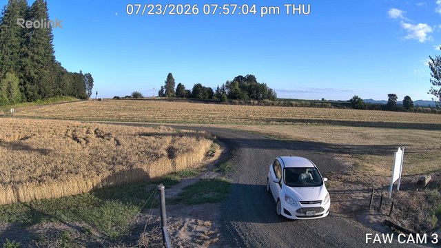time-lapse frame, FAW CAM 3 webcam