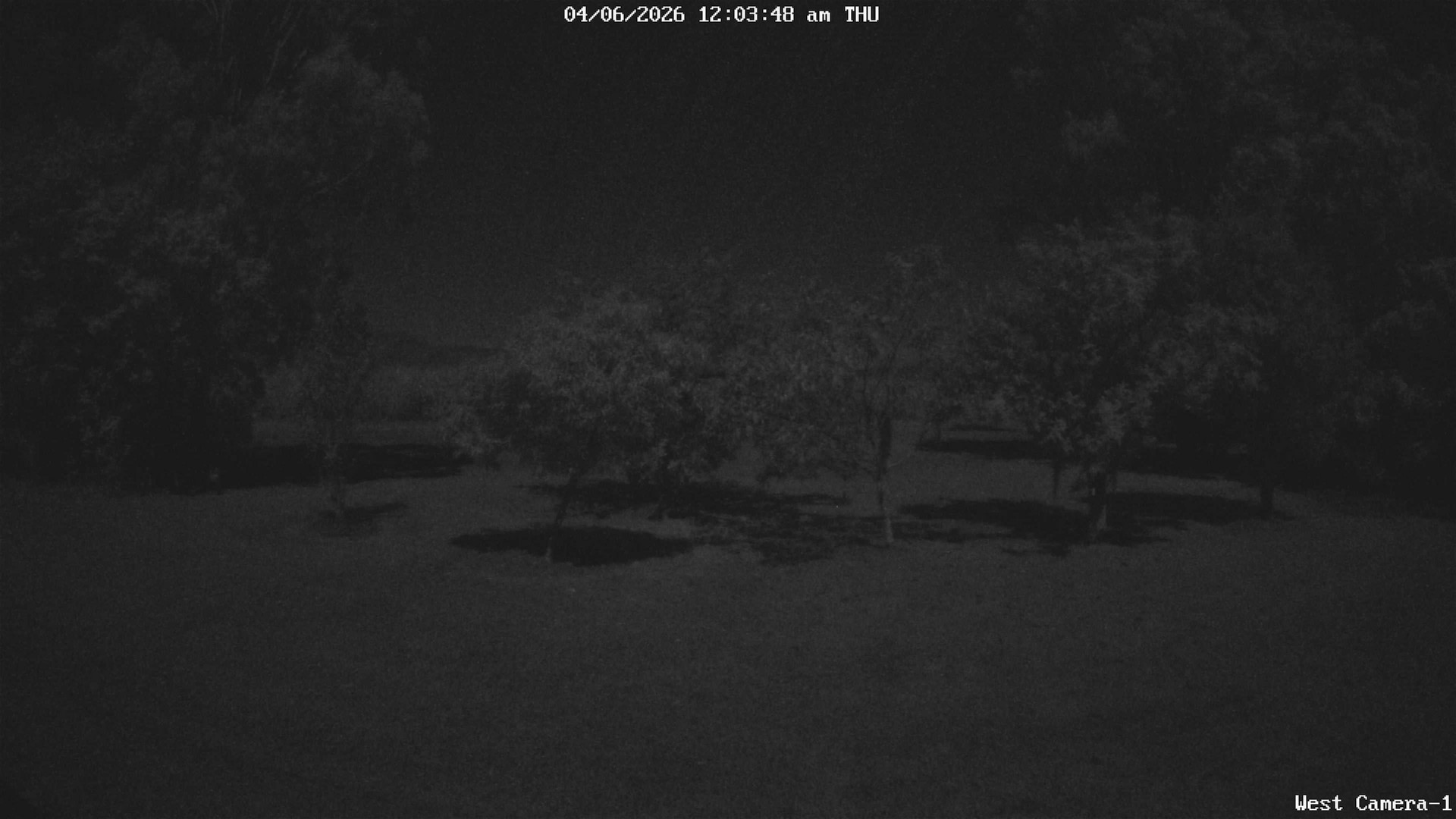time-lapse frame, KelseyCreek West View webcam