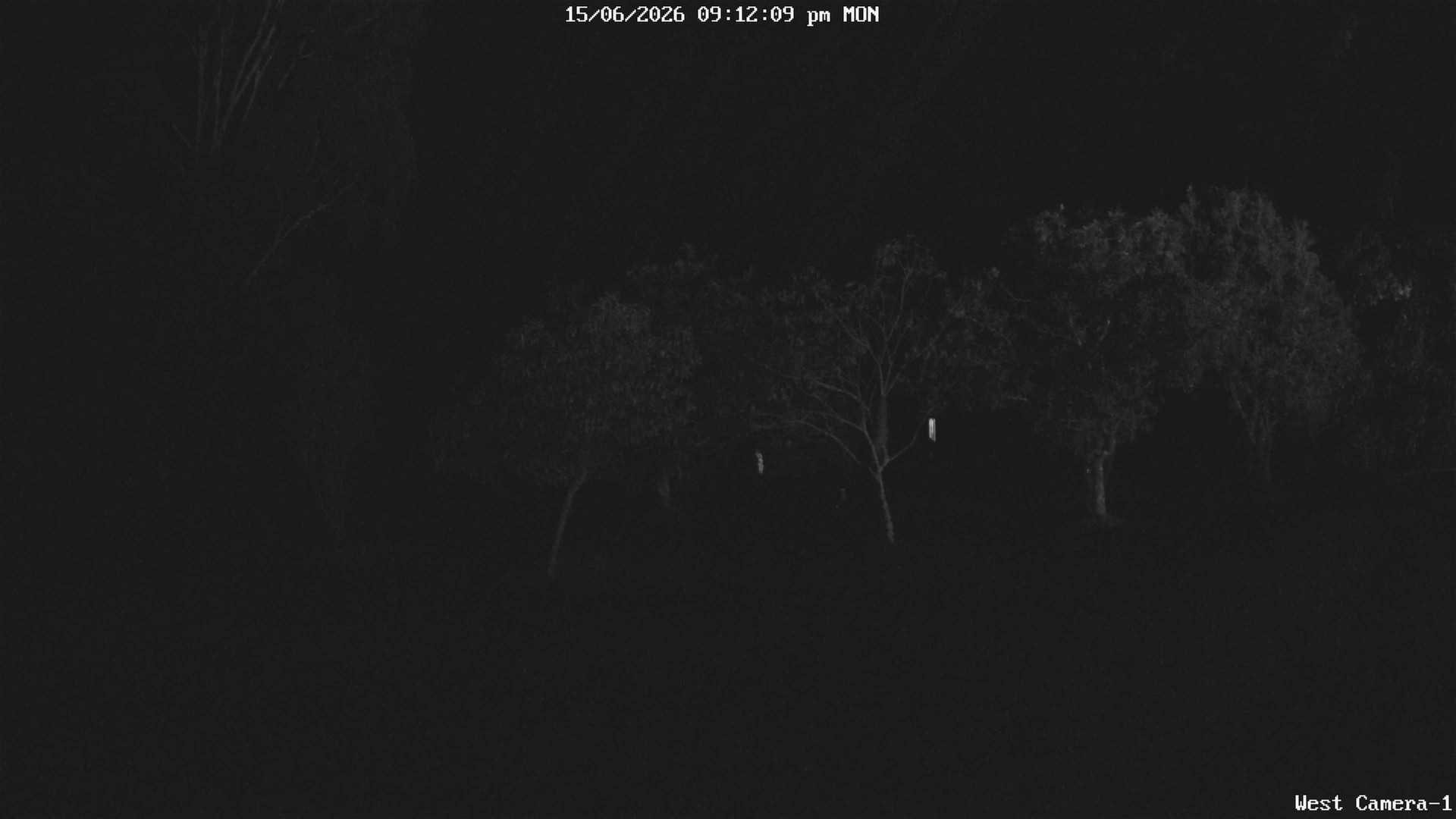 time-lapse frame, KelseyCreek West View webcam