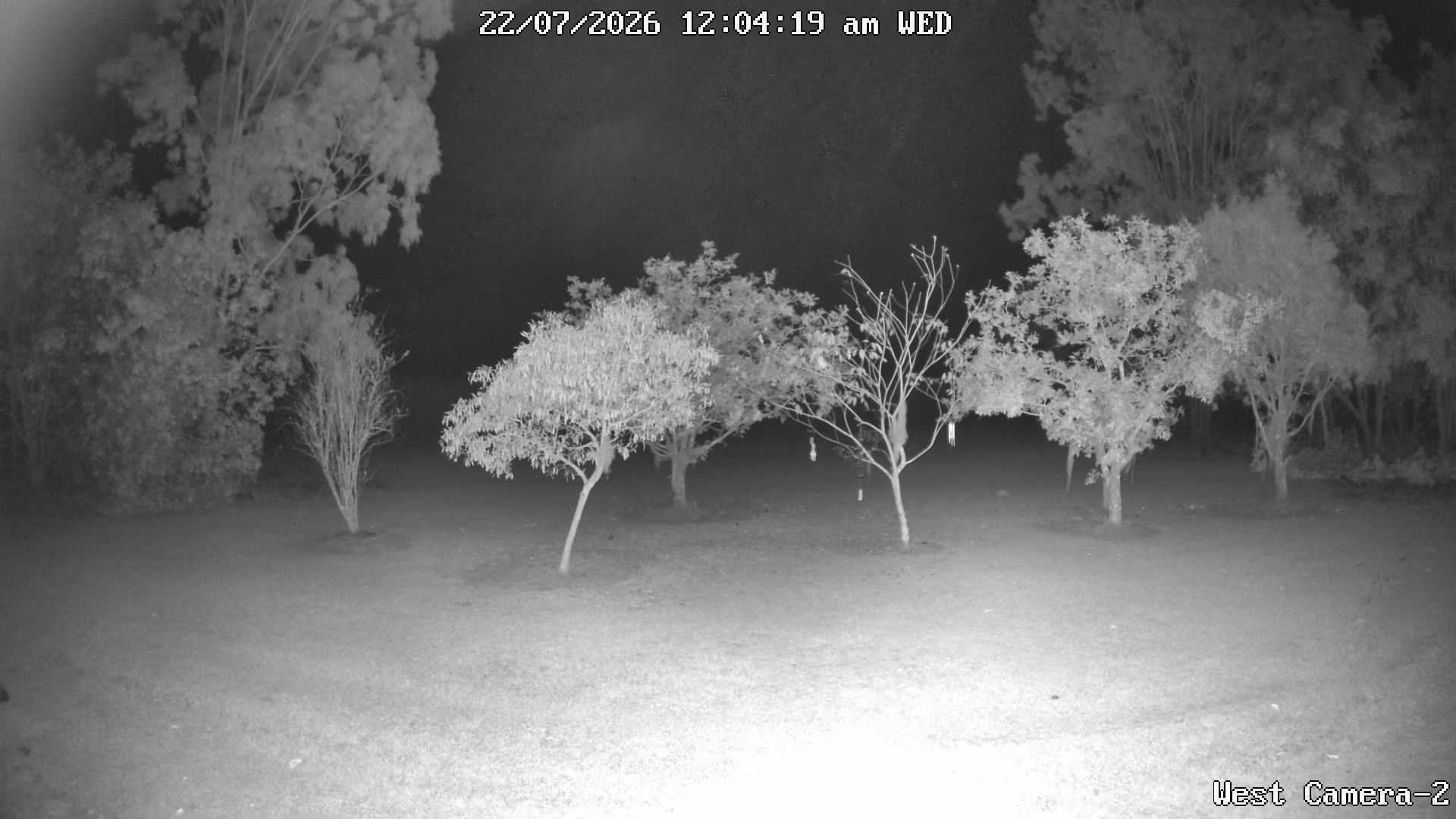 time-lapse frame, KelseyCreek West View webcam