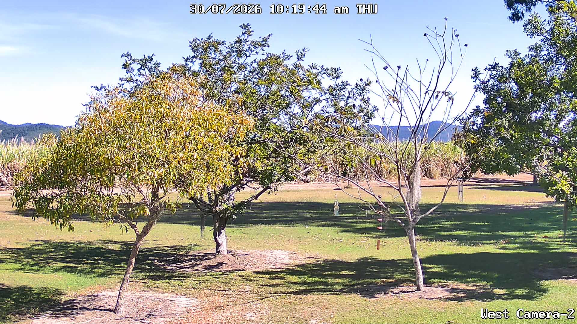 time-lapse frame, KelseyCreek West View webcam