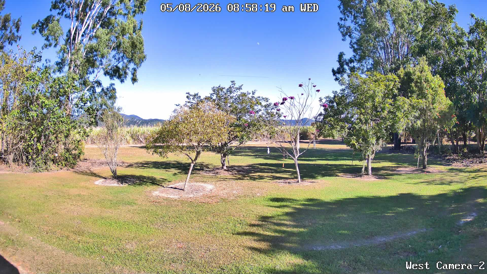 time-lapse frame, KelseyCreek West View webcam