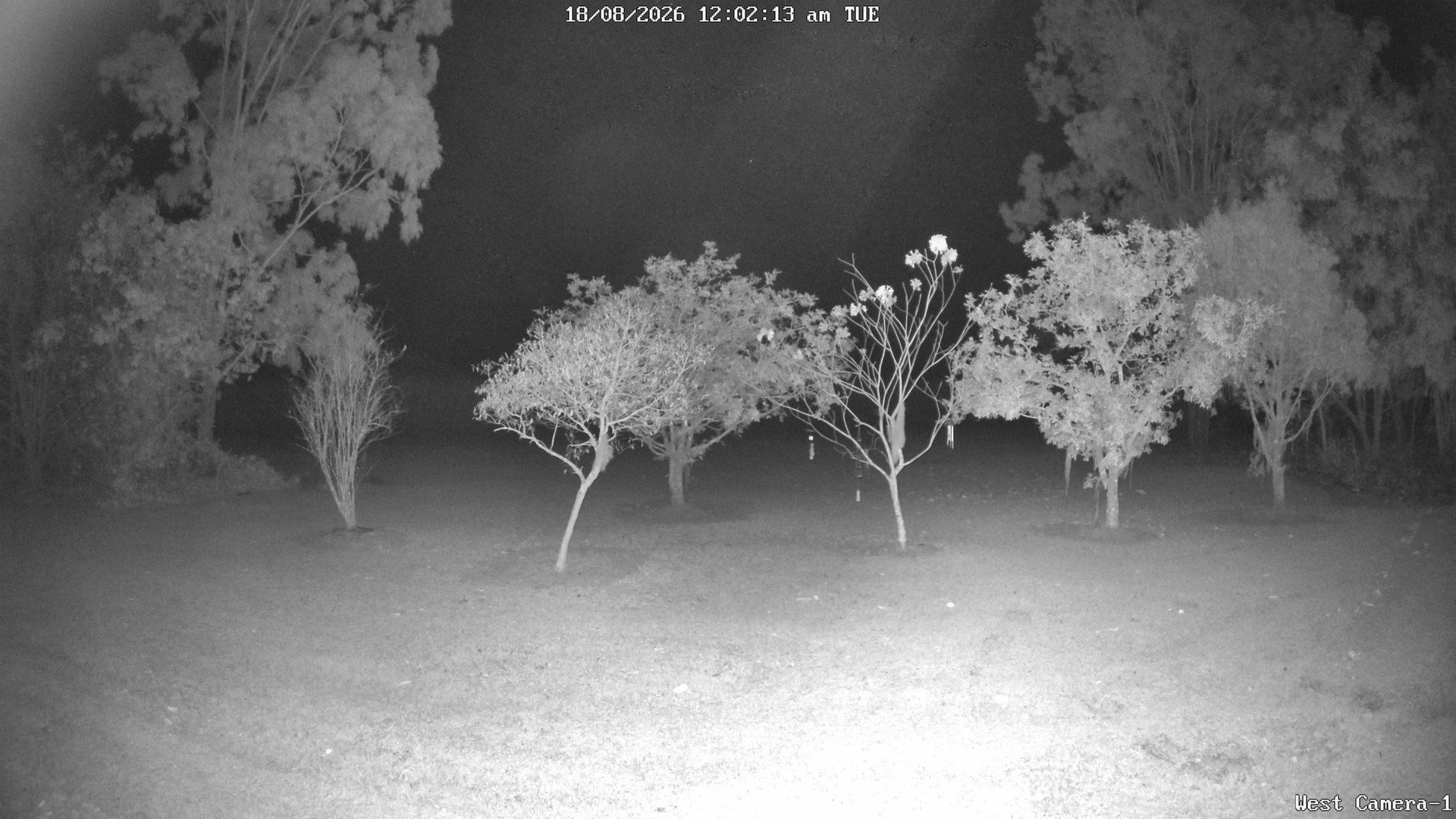 time-lapse frame, KelseyCreek West View webcam