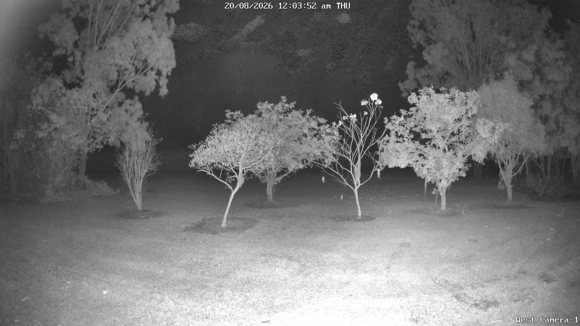 time-lapse frame, KelseyCreek West View webcam