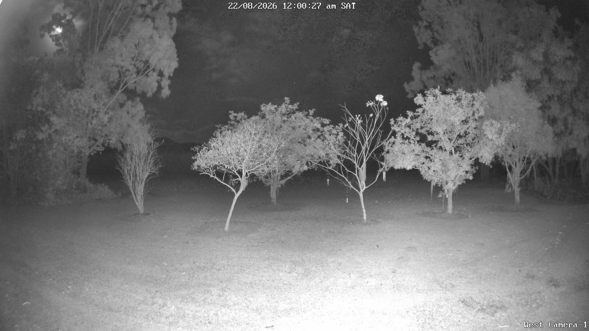 time-lapse frame, KelseyCreek West View webcam